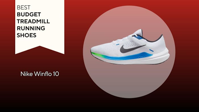 Nike Winflo 10 running shoe